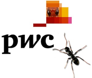 Why does PwC want an Ant’s Eye View of the world?